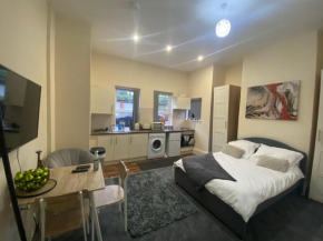 Modern studio apartment - great location!